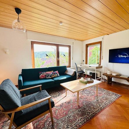B17 Two Bed Apartment West Town ハイデンハイム・アン・デア・ブレンツ エクステリア 写真